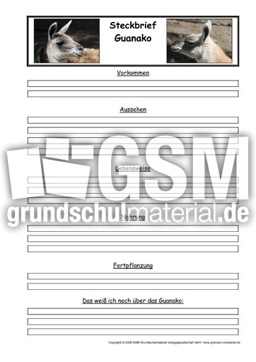 Guanako-Steckbriefvorlage.pdf